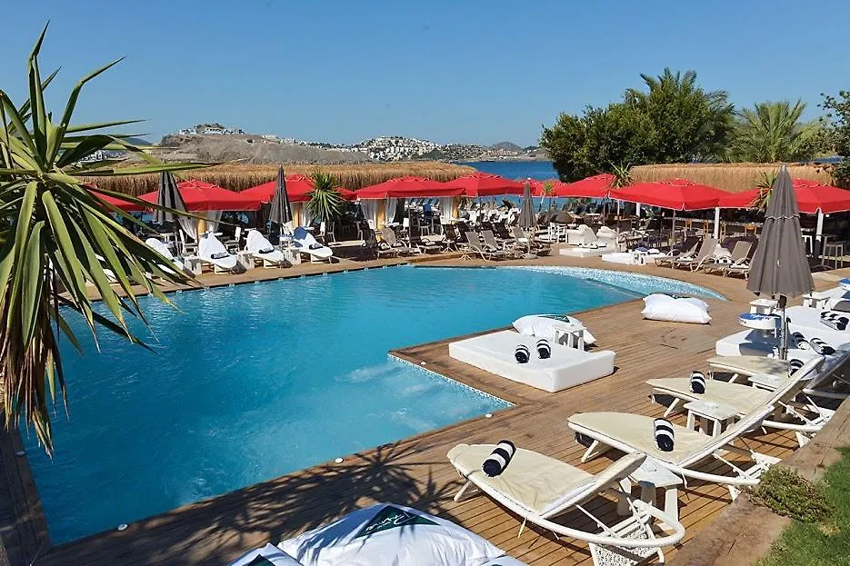 Moon Beach Otel Yalikavak Turkey