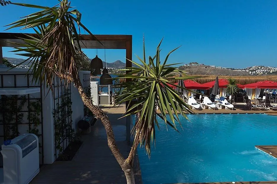 Moon Beach Otel Yalikavak Hotel