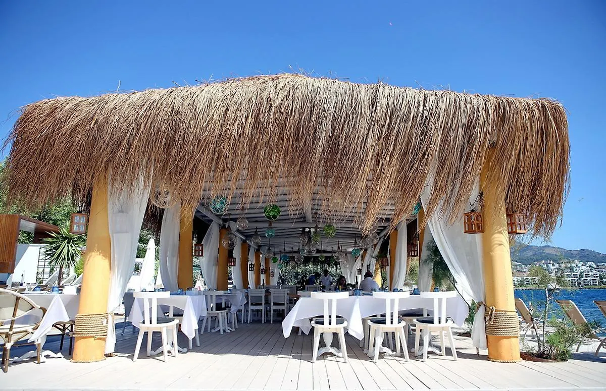 Moon Beach Otel Yalikavak Turkey