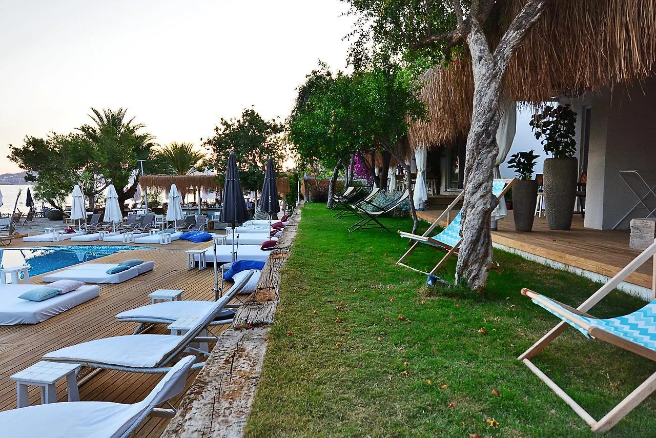 Moon Beach Otel Yalikavak Turkey